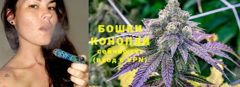 где продают наркотики  Заринск  Конопля White Widow 